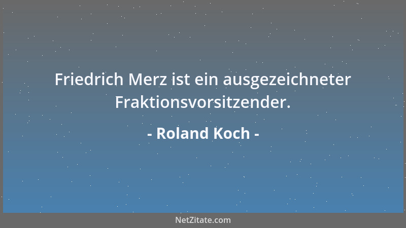 Roland Koch - Friedrich Merz ist ein ausgezeichneter Fraktionsvorsitzender....