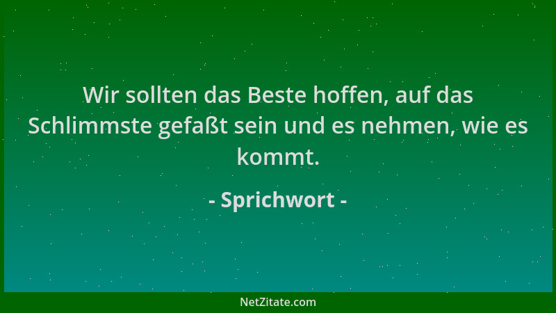 Sprichwort - Wir sollten das Beste hoffen, auf das Schlimmste gefaßt sein und es nehmen, wie es kommt....