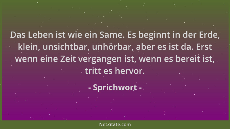 Sprichwort - Das Leben ist wie ein Same. Es beginnt in der Erde, klein, unsichtbar, unhörbar, aber es ist da. Erst wenn ein...