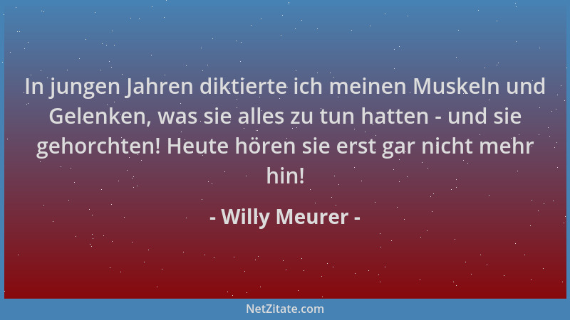 Willy Meurer - In jungen Jahren diktierte ich meinen Muskeln und Gelenken, was sie alles zu tun hatten - und sie gehorchten...