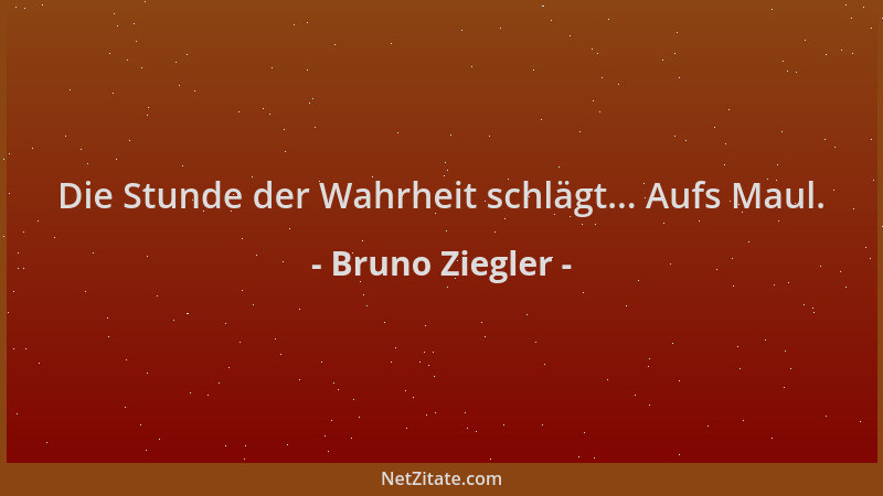 Bruno Ziegler - Die Stunde der Wahrheit schlägt... Aufs Maul....
