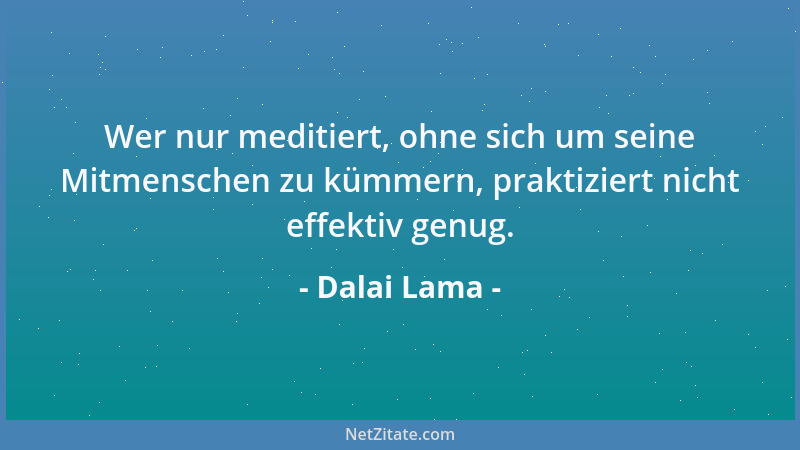 Dalai Lama - Wer nur meditiert, ohne sich um seine Mitmenschen zu kümmern, praktiziert nicht effektiv genug....