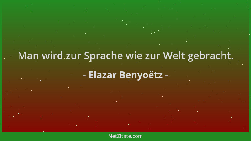 Elazar Benyoëtz - Man wird zur Sprache wie zur Welt gebracht....