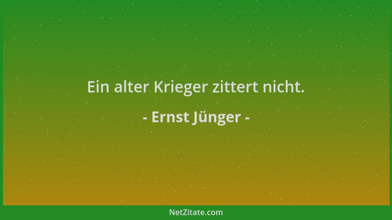 Ernst Jünger - Ein alter Krieger zittert nicht....