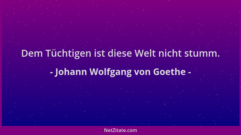 Johann Wolfgang von Goethe - Dem Tüchtigen ist diese Welt nicht stumm....