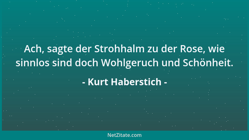 Kurt Haberstich - Ach, sagte der Strohhalm zu der Rose, wie sinnlos sind doch Wohlgeruch und Schönheit....
