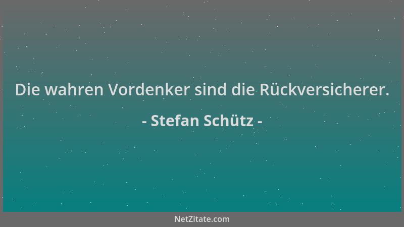 Stefan Schütz - Die wahren Vordenker sind die Rückversicherer....