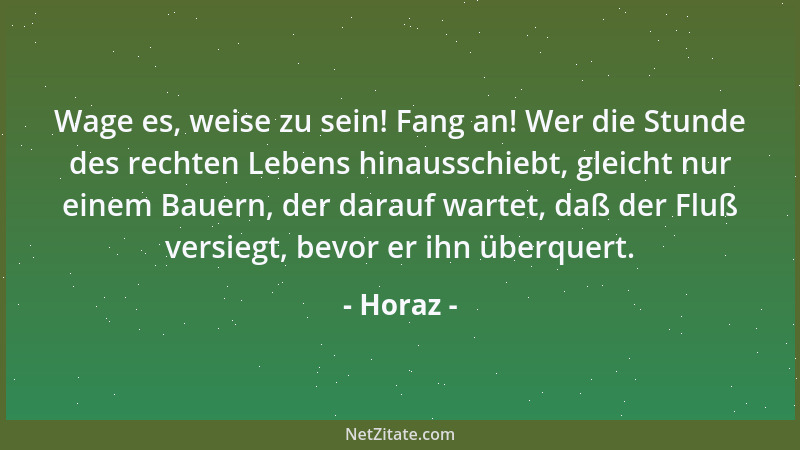 Horaz - Wage es, weise zu sein! Fang an! Wer die Stunde des rechten Lebens hinausschiebt, gleicht nur einem Bauern, der dar...