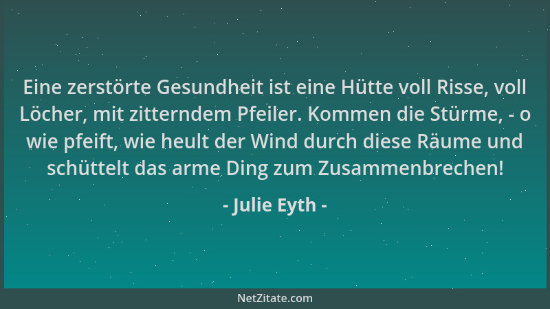 Julie Eyth - Eine zerstörte Gesundheit ist eine Hütte voll Risse, voll Löcher, mit zitterndem Pfeiler. Kommen die Stürme, -...