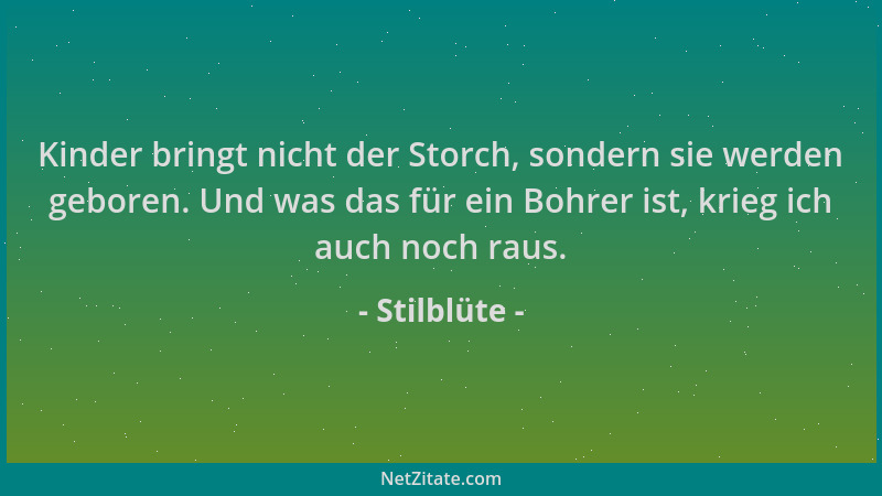 Stilblüte - Kinder bringt nicht der Storch, sondern sie werden geboren. Und was das für ein Bohrer ist, krieg ich auch noch...