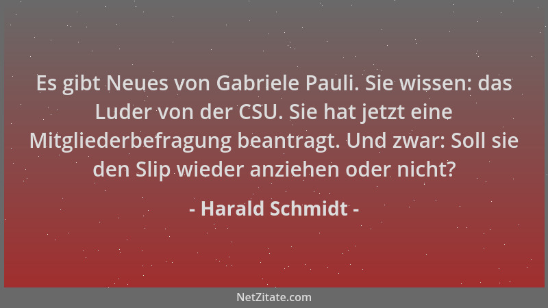 Harald Schmidt - Es gibt Neues von Gabriele Pauli. Sie wissen: das Luder von der CSU. Sie hat jetzt eine Mitgliederbefragun...