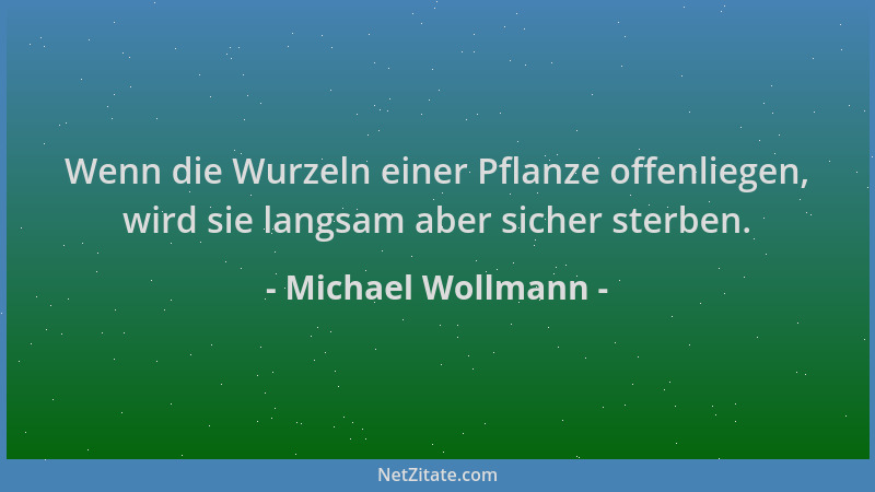 Michael Wollmann - Wenn die Wurzeln einer Pflanze offenliegen, wird sie langsam aber sicher sterben....
