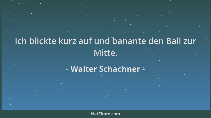 Walter Schachner - Ich blickte kurz auf und banante den Ball zur Mitte....