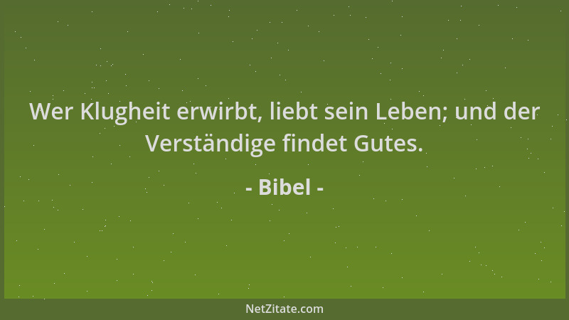 Bibel - Wer Klugheit erwirbt, liebt sein Leben; und der Verständige findet Gutes....