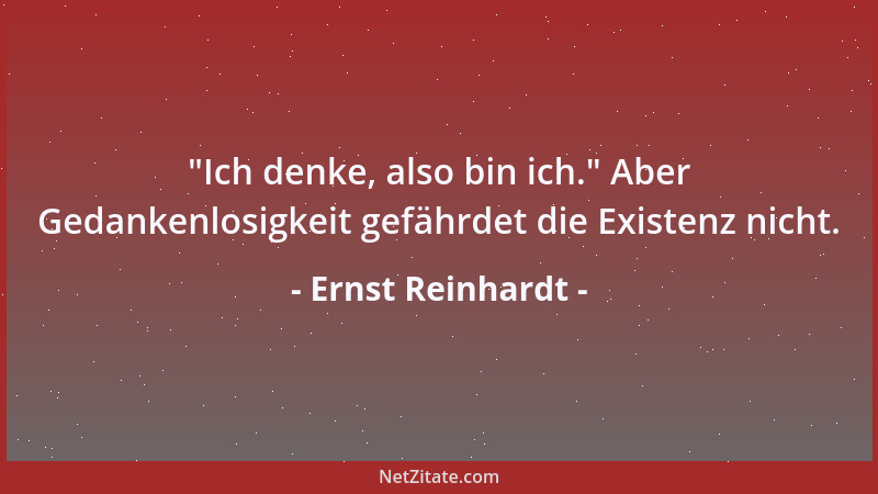 Ernst Reinhardt -  "Ich denke, also bin ich. " Aber Gedankenlosigkeit gefährdet die Existenz nicht....