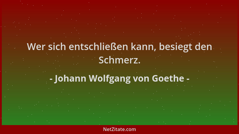 Johann Wolfgang von Goethe - Wer sich entschließen kann, besiegt den Schmerz....