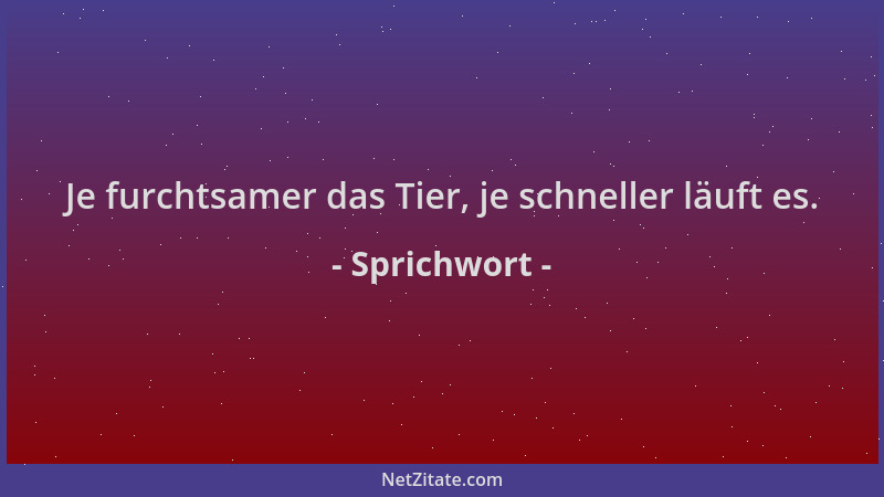 Sprichwort - Je furchtsamer das Tier, je schneller läuft es....