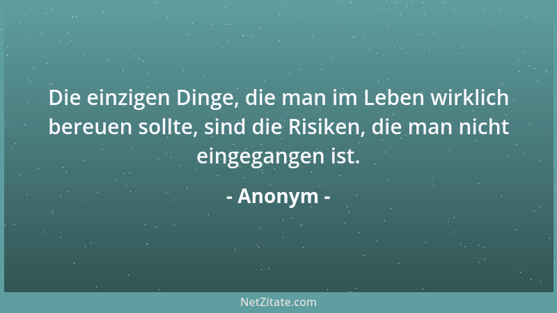 Anonym - Die einzigen Dinge, die man im Leben wirklich bereuen sollte, sind die Risiken, die man nicht eingegangen ist....