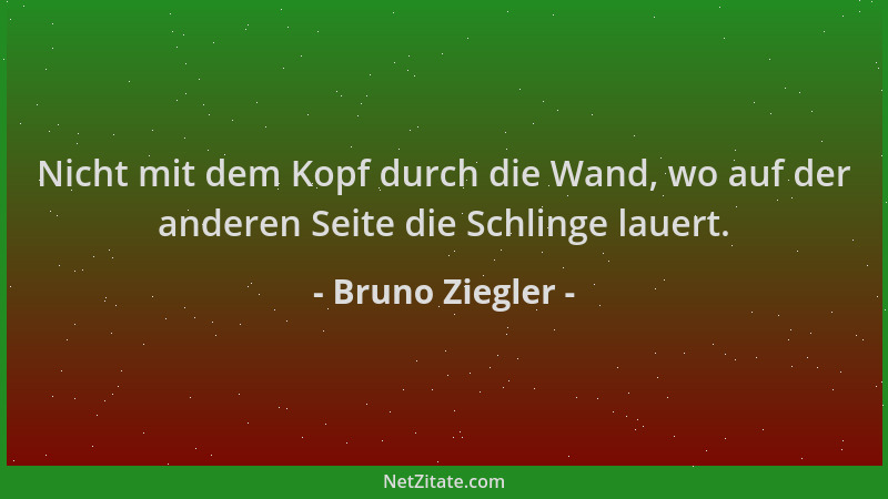 Bruno Ziegler - Nicht mit dem Kopf durch die Wand, wo auf der anderen Seite die Schlinge lauert....