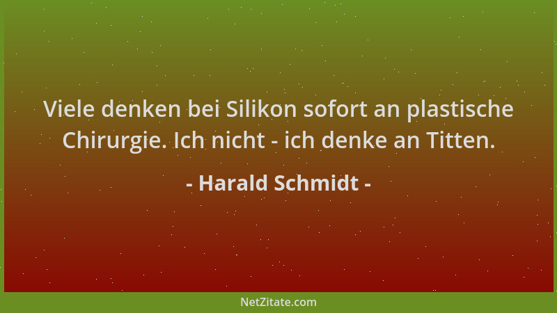Harald Schmidt - Viele denken bei Silikon sofort an plastische Chirurgie. Ich nicht - ich denke an Titten....