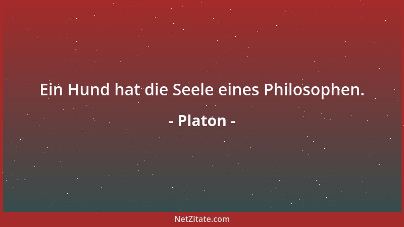 Platon - Ein Hund hat die Seele eines Philosophen....