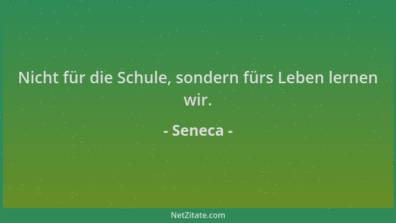 Seneca - Nicht für die Schule, sondern fürs Leben lernen wir....