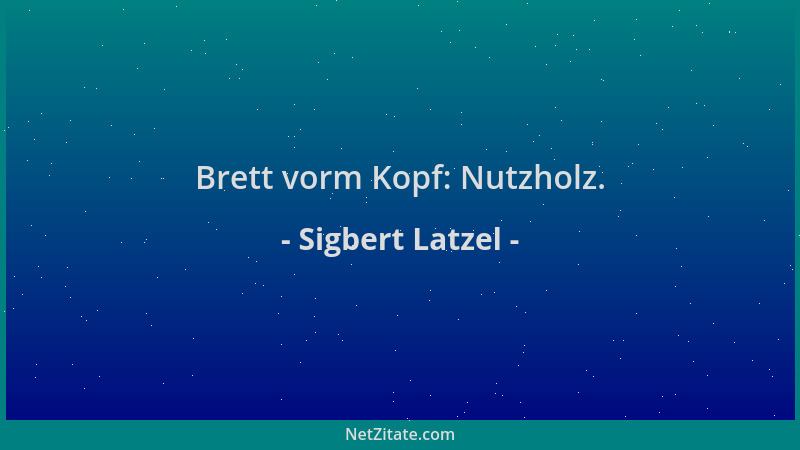 Sigbert Latzel - Brett vorm Kopf: Nutzholz....