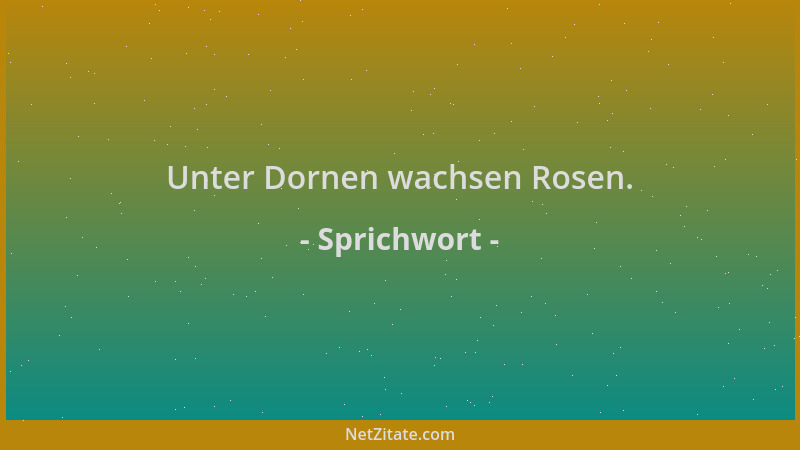 Sprichwort - Unter Dornen wachsen Rosen....