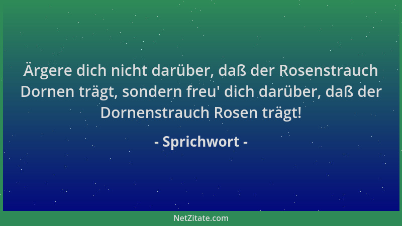 Sprichwort - Ärgere dich nicht darüber, daß der Rosenstrauch Dornen trägt, sondern freu ' dich darüber, daß der Dornenstrauc...