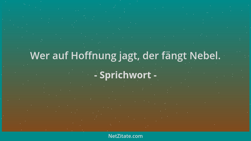 Sprichwort - Wer auf Hoffnung jagt, der fängt Nebel....