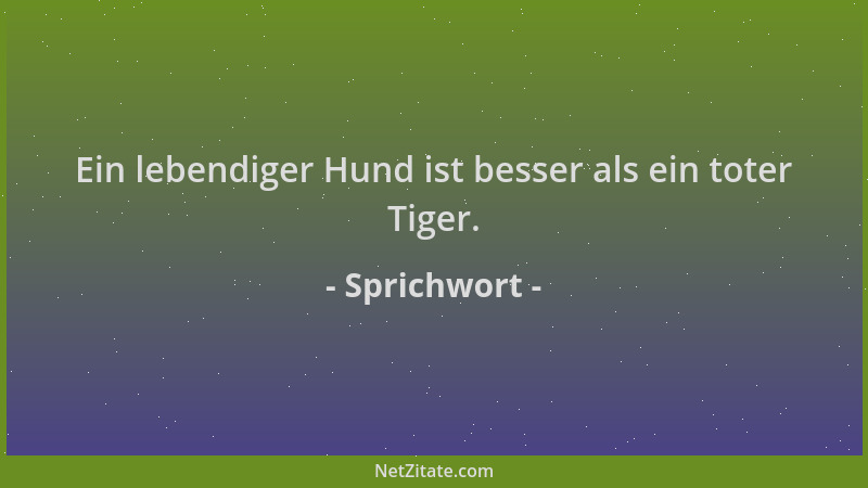 Sprichwort - Ein lebendiger Hund ist besser als ein toter Tiger....