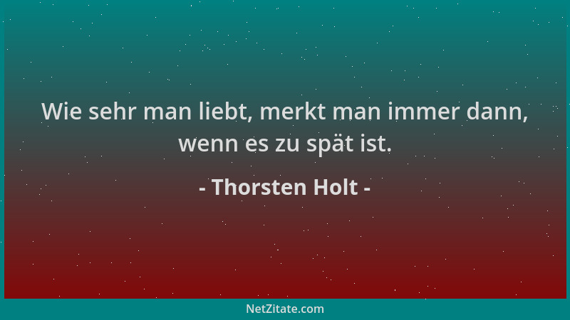 Thorsten Holt - Wie sehr man liebt, merkt man immer dann, wenn es zu spät ist....