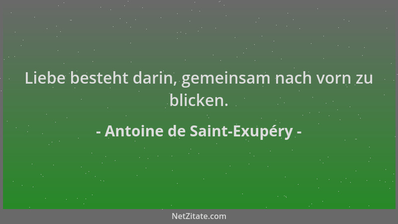 Antoine de Saint-Exupéry - Liebe besteht darin, gemeinsam nach vorn zu blicken....