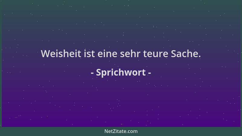 Sprichwort - Weisheit ist eine sehr teure Sache....