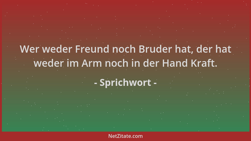 Sprichwort - Wer weder Freund noch Bruder hat, der hat weder im Arm noch in der Hand Kraft....