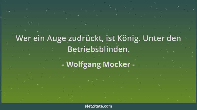 Wolfgang Mocker - Wer ein Auge zudrückt, ist König. Unter den Betriebsblinden....