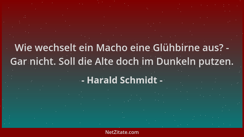 Harald Schmidt - Wie wechselt ein Macho eine Glühbirne aus? - Gar nicht. Soll die Alte doch im Dunkeln putzen....
