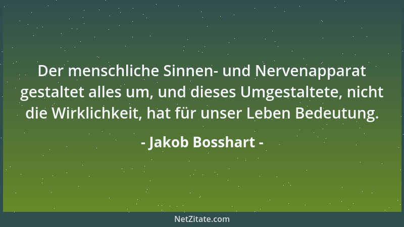 Jakob Bosshart - Der menschliche Sinnen- und Nervenapparat gestaltet alles um, und dieses Umgestaltete, nicht die Wirklichk...