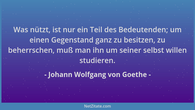 Johann Wolfgang von Goethe - Was nützt, ist nur ein Teil des Bedeutenden; um einen Gegenstand ganz zu besitzen, zu beherrsc...