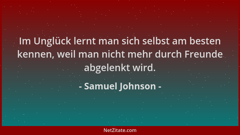 Samuel Johnson - Im Unglück lernt man sich selbst am besten kennen, weil man nicht mehr durch Freunde abgelenkt wird....