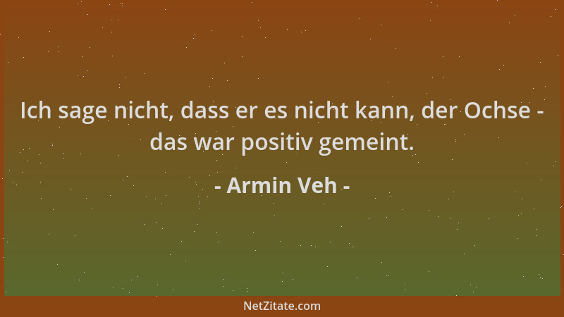 Armin Veh - Ich sage nicht, dass er es nicht kann, der Ochse - das war positiv gemeint....