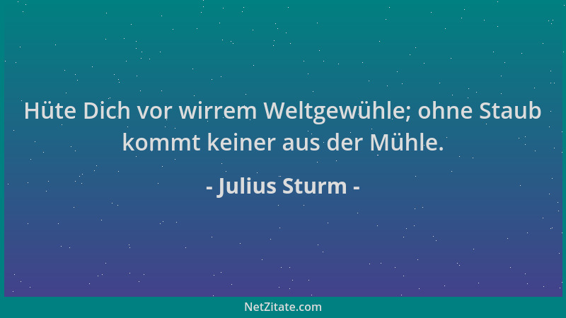 Julius Sturm - Hüte Dich vor wirrem Weltgewühle; ohne Staub kommt keiner aus der Mühle....