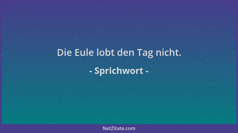 Sprichwort - Die Eule lobt den Tag nicht....