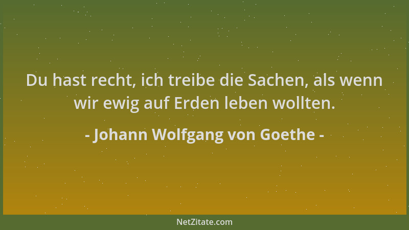 Johann Wolfgang von Goethe - Du hast recht, ich treibe die Sachen, als wenn wir ewig auf Erden leben wollten....