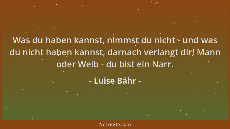 Luise Bähr - Was du haben kannst, nimmst du nicht - und was du nicht haben kannst, darnach verlangt dir! Mann oder Weib - d...