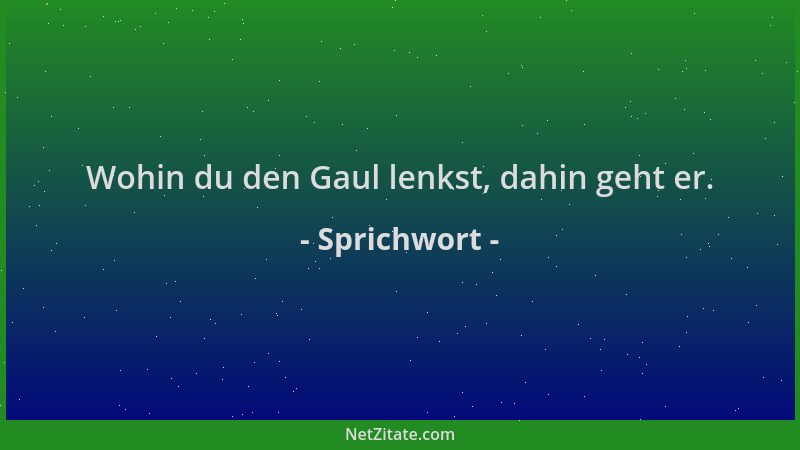 Sprichwort - Wohin du den Gaul lenkst, dahin geht er....