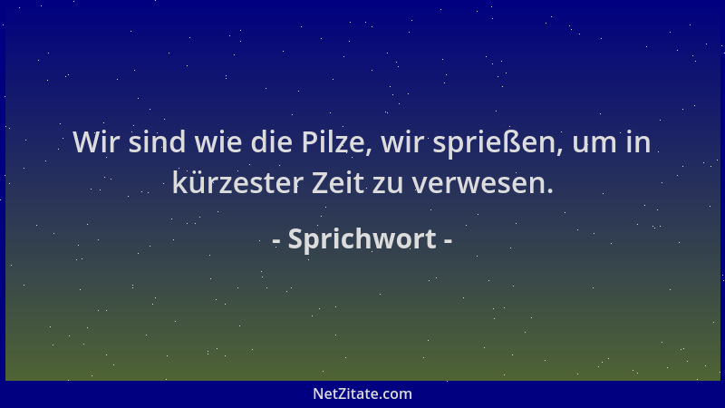 Sprichwort - Wir sind wie die Pilze, wir sprießen, um in kürzester Zeit zu verwesen....