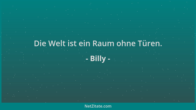 Billy - Die Welt ist ein Raum ohne Türen....