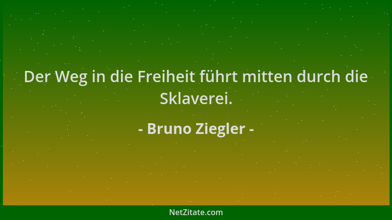 Bruno Ziegler - Der Weg in die Freiheit führt mitten durch die Sklaverei....