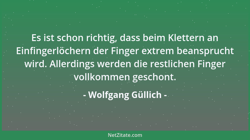 Wolfgang Güllich - Es ist schon richtig, dass beim Klettern an Einfingerlöchern der Finger extrem beansprucht wird. Allerdi...